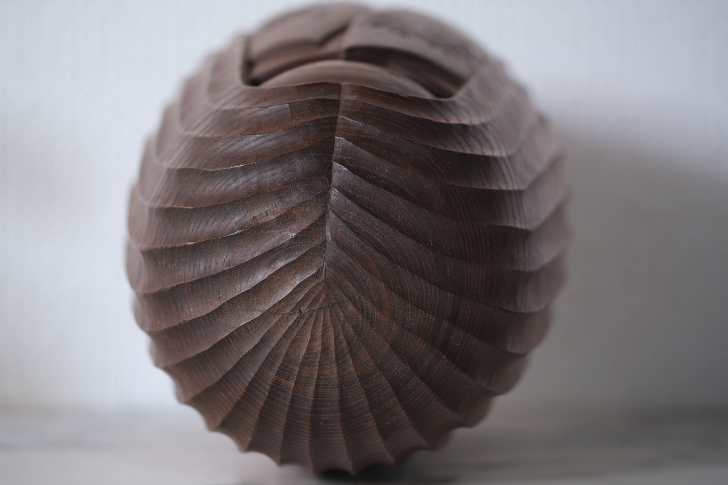 Thoughts (Shitau) 思 by Takeda Daisuke 竹田大介 | 20 cm
